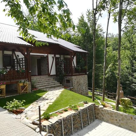 Appartement Casa Gozna à Văliug Extérieur photo