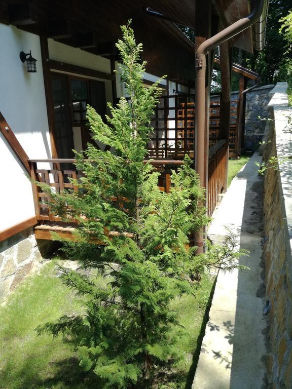 Appartement Casa Gozna à Văliug Extérieur photo