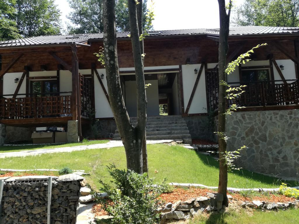 Appartement Casa Gozna à Văliug Extérieur photo