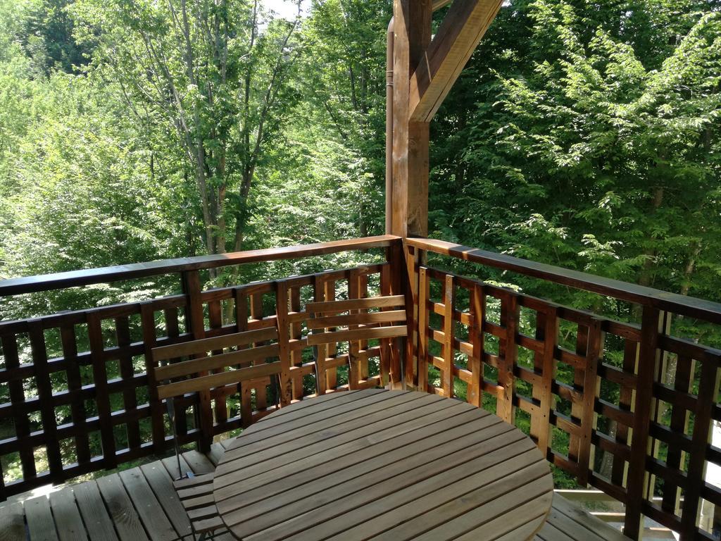 Appartement Casa Gozna à Văliug Extérieur photo