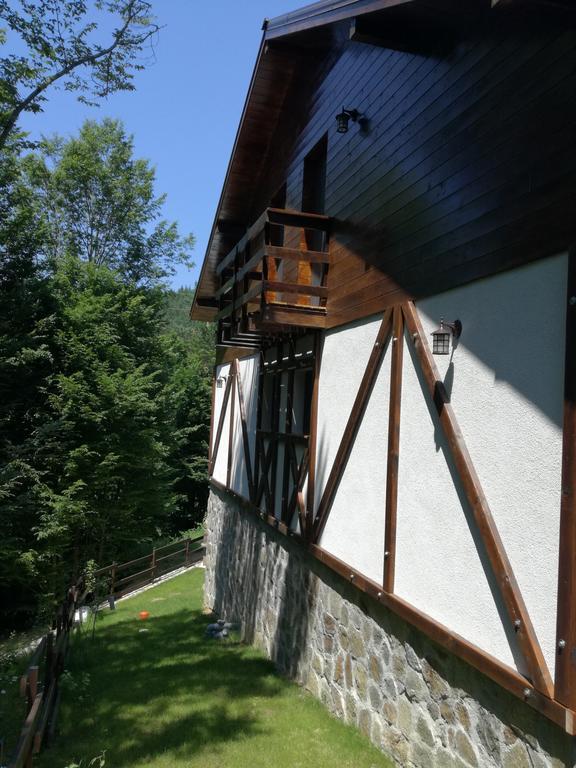 Appartement Casa Gozna à Văliug Extérieur photo