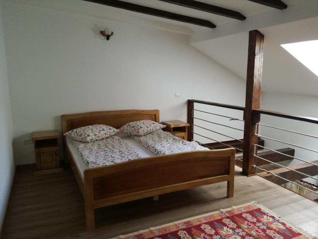 Appartement Casa Gozna à Văliug Extérieur photo
