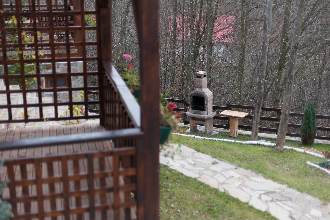 Appartement Casa Gozna à Văliug Extérieur photo