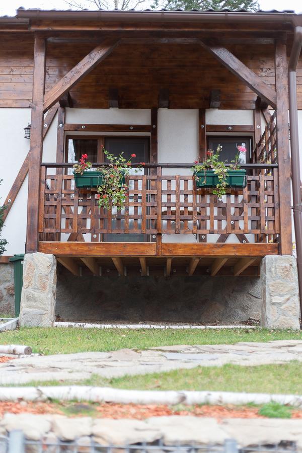 Appartement Casa Gozna à Văliug Extérieur photo