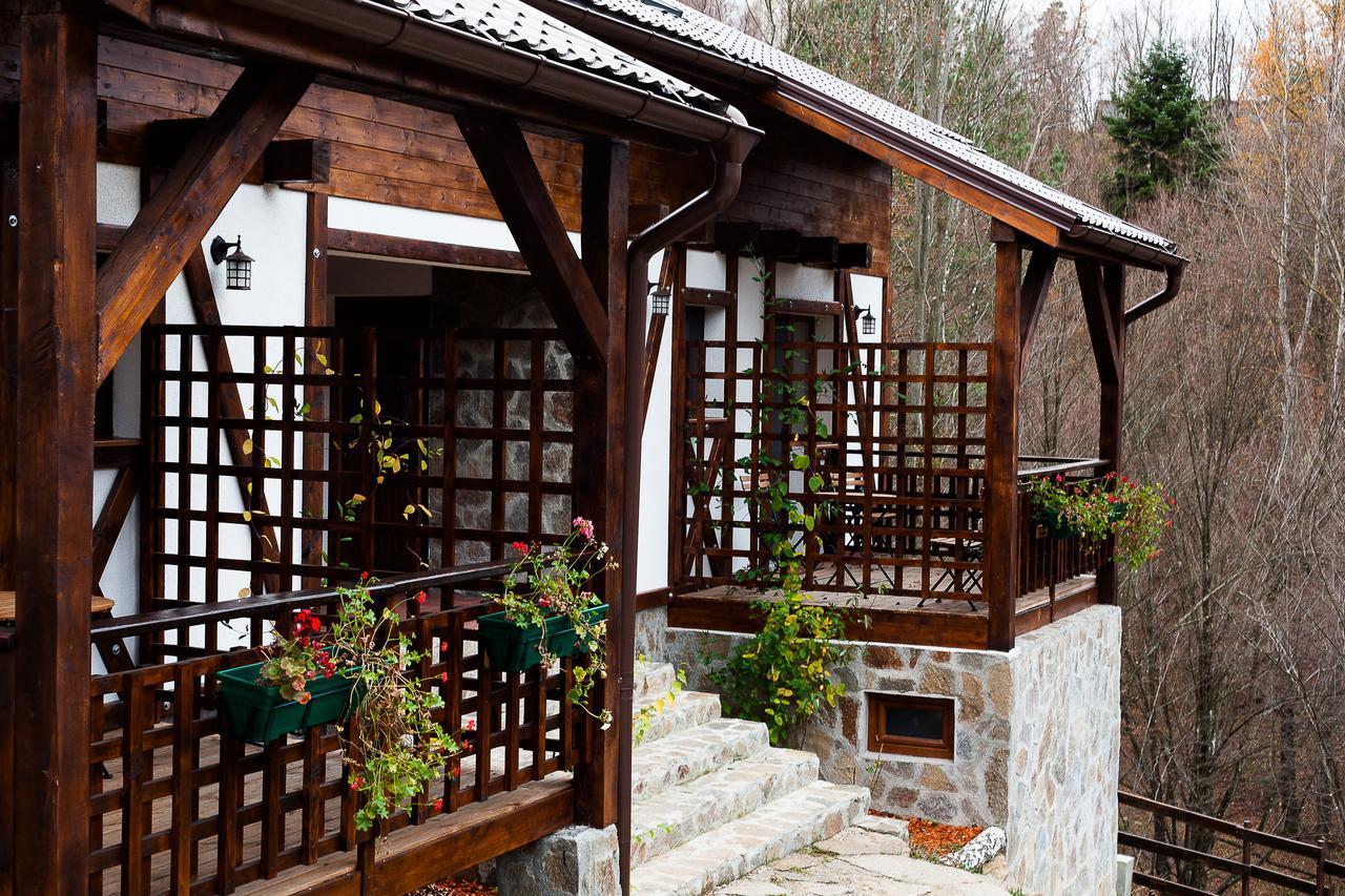 Appartement Casa Gozna à Văliug Extérieur photo