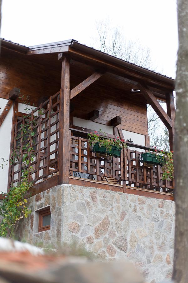 Appartement Casa Gozna à Văliug Extérieur photo