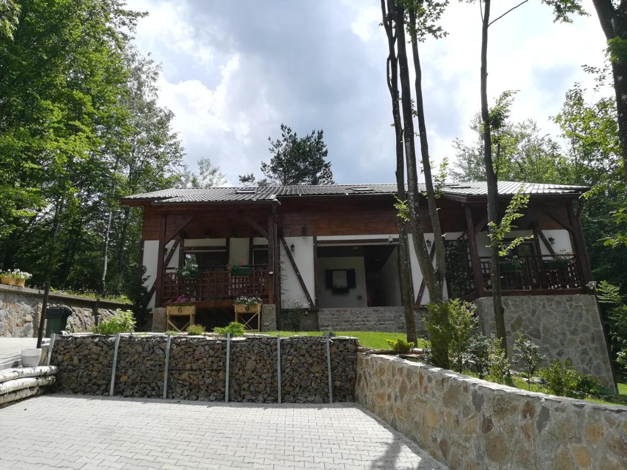 Appartement Casa Gozna à Văliug Extérieur photo
