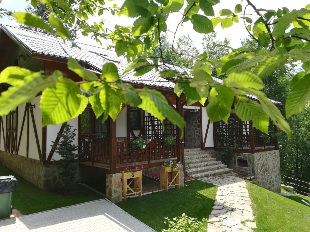 Appartement Casa Gozna à Văliug Extérieur photo